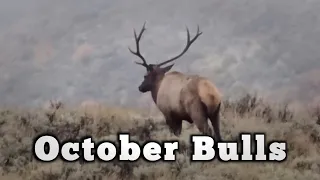 October Bulls | Idaho The Season 6 ep.2