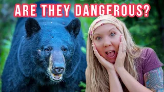 5 Myths about Black Bears + bear safety tips