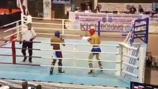 Aca Konovalov vs Viktor Mihajlov WAKO EC 2016