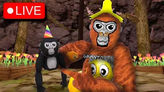 🔴 GORILLA TAG SPRING UPDATE STREAM! VIEWERS CAN JOIN! 🔴