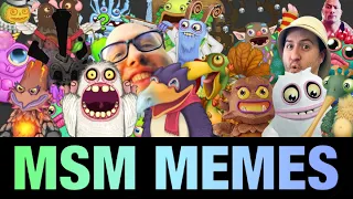 30 MINUTES OF MSM MEMES || ULTIMATE MSM MEME COMPILATION