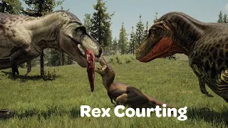 WWD: Rex Courting and Mate Challenges