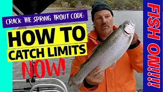How We Caught Limits Of Trout Every Day This Week! #fishing #trout #trolling #troutfishing #fish