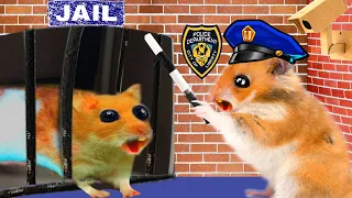 🐹🦂Scorpion maze with Traps hamster Police Pets🐹 in Hamster stories P2