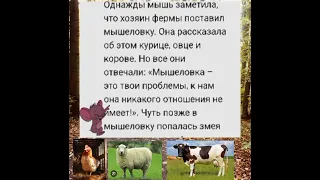 Прича. Мышь и мышиловка  !