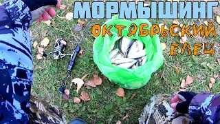 Мормышинг. Ловля октябрьского ельца на MATAGI twa-662 xul и микроприманки Sport Fishing