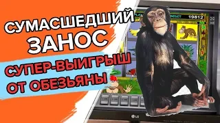 Сумасшедший занос в казино Вулкан от Димы Казино! Слот Обезьяна выдал супер выигрыш!