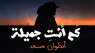 Antoine Massaad - Kam Anti Jamila (Official Lyrics Video) | انطوان مسعد - كَم أنتِ جميلة