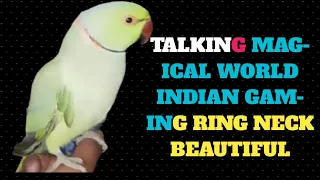 talking |magical |world Indian |gaming ring neck beautiful |heaven best |wenderfull king |parrott