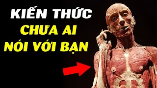 KIẾN THỨC VỀ CƠ THỂ NGƯỜI #1 - CƠ LÀ GÌ?