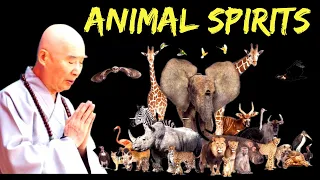 Venerable Master Chin Kung: The Animal Spirits『動物靈』