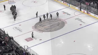 VGK 11/18/2021 vs Red Wings