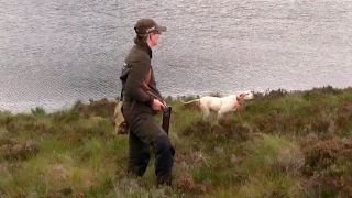 The Shooting Show – grouse over pointers special