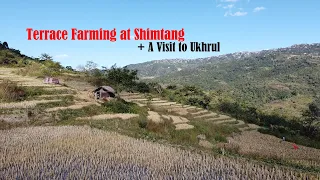 Terrace Farming at Shimtang | A Visit to Ukhrul, Manipur India