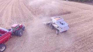 Fall Harvest 2018