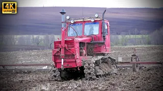 Гусеничный трактор Т-4А Алтай и тракторист, работающий на нем с 1981 года - закрытие влаги 2020