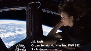 J.S. Bach - Organ Sonata (a tre) in Em, BWV 528 - 2: Andante (Synthesized)