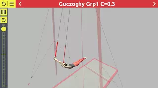 Gymnastics - Rings “Guczoghy”