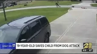 Liveleak Neighbor saves 6-year-old boy from pit bull attack