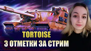 TORTOISE - 3 ОТМЕТКИ ЗА СТРИМ!