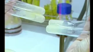 Técnicas Básicas en el Laboratorio de Microbiología. Preparación de Medios de Cultivo