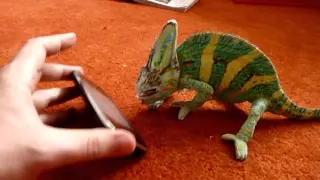 Прикольные ролики Невероятный чудо хамелеон  Funniest Animals Приколы смотреть онлайн