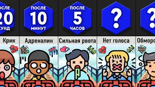 Что, Если Долго Кататься на Американских Горках?