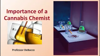 Importance of a Cannabis Chemist