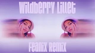 Nina Chuba - Wildberry Lillet (Feanix Remix)