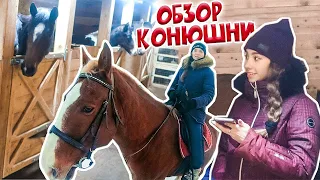 ОБЗОР КОНЮШНИ / Как стать коневладельцем?