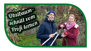 Obstbaumschnitt Crashkurs beim Profi Dominik Schreiber🍒Obstbaum richtig schneiden