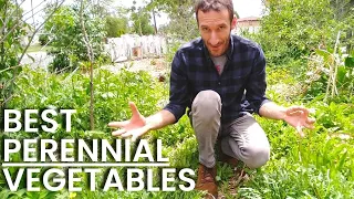 5 Delicious PERENNIAL Vegetables [Come Back Every Year!] 🌿 Grow More Food At Home!