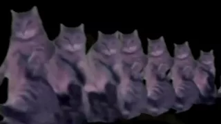 "Happy Birthday to You" feat. Funny Dancing Cats
