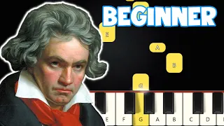 Fur Elise - Ludwig Van Beethoven | Beginner Piano Tutorial | Easy Piano