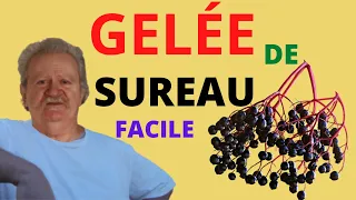 GELÉE DE SUREAU