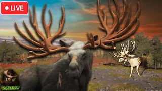 Its Been 1000 KILLS Since Our Last Fabled Great One Moose... LETS SPAWN HIM TODAY! Call of the wild