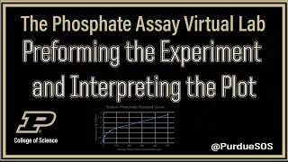 The Phosphate Assay Virtual Lab: Preforming the Experiment and Interpreting the Plot