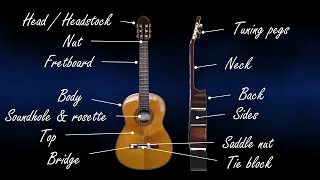 Initiation to Classical Guitar - 1 - Basics of the classical guitar, anatomy and terms