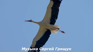 ♫Музыка Для Души ♫НЕ ОТПУСКАЙ ♫Музыка Сергей Грищук♫