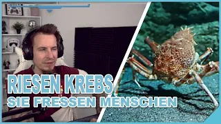 Zera REAGIERT auf: Riesen Krebs tötet Vögel und frisst Menschen! Biologe reagiert