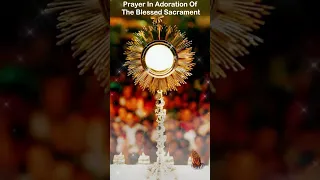 Prayer in Adoration of the Blessed Sacrament