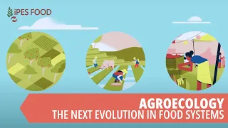 Agroecology - the next evolution in food systems