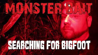 ALONE in a CORNFIELD at night searching for Bigfoot! Stung by HORNETS!