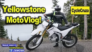 Day 5: MotoVlogging Yellowstone | Stealth Moto Camper Van Adventure