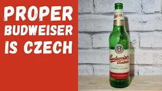 Proper Budweiser From Czech Republic