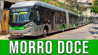 Morro Doce - Movimentação de Ônibus #231