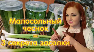 МАЛОСОЛЬНЫЙ  ЧЕСНОК - мировая закуска из молодого чеснока. Готовь и будешь есть чеснок каждый день!