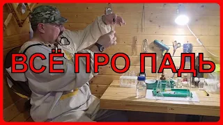 Всё про падевый мёд. Видео по пчеловодству для начинающих 2022