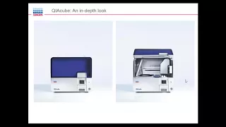 Automated nucleic acid purification from diverse sample types