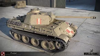 World of Tanks || Pudel Preview || First Polish Tank